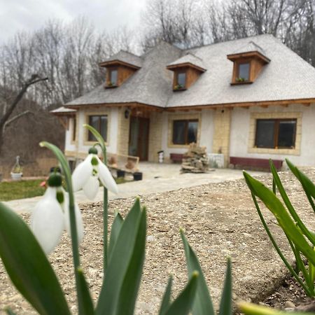 Casa Cu Sindrila Vila Vălenii de Munte Exterior foto