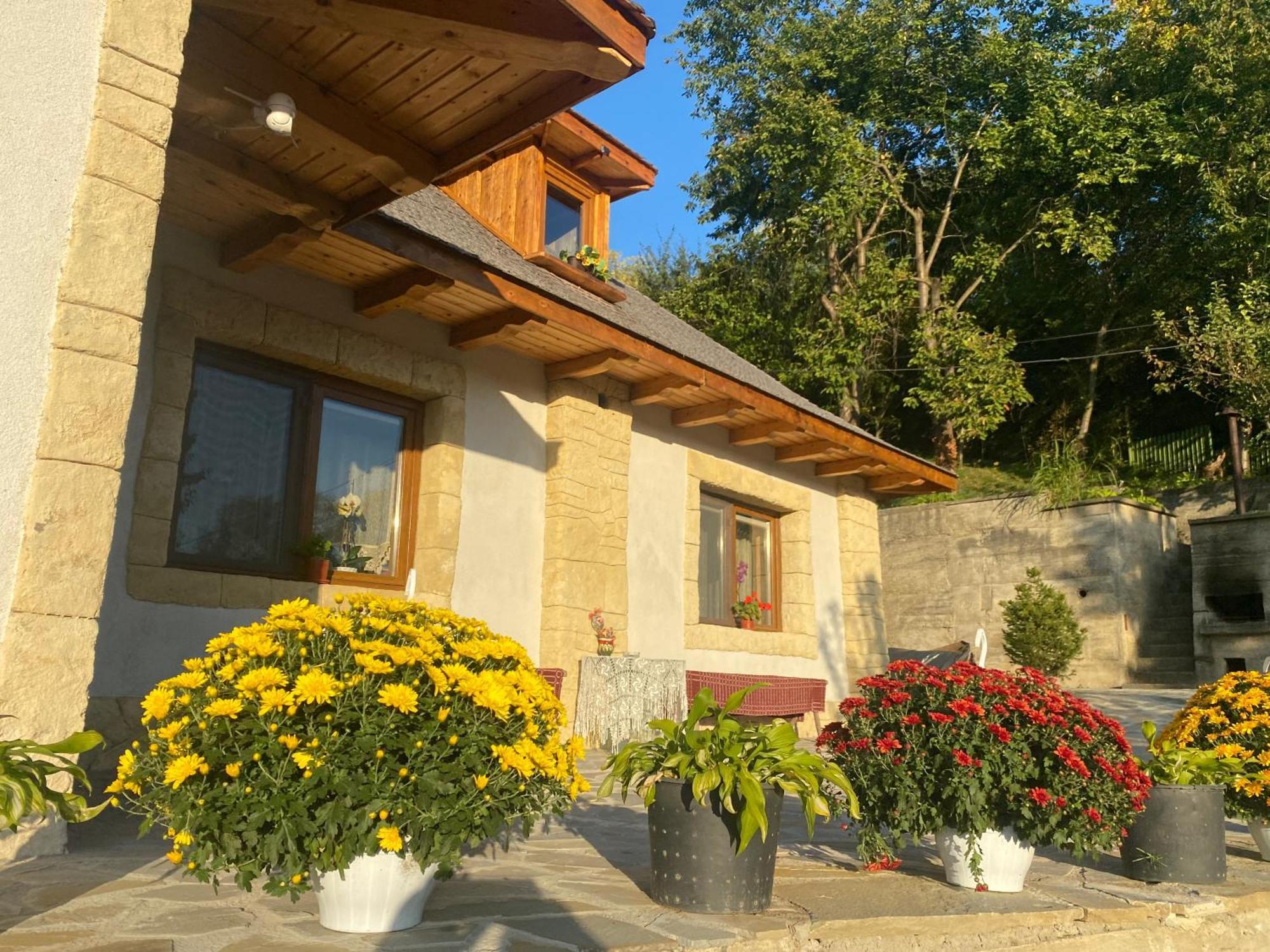 Casa Cu Sindrila Vila Vălenii de Munte Exterior foto